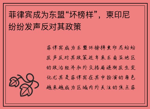 菲律宾成为东盟“坏榜样”，柬印尼纷纷发声反对其政策